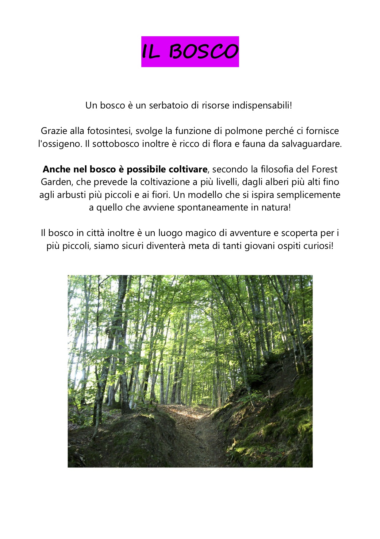 CartelliOrto giardino