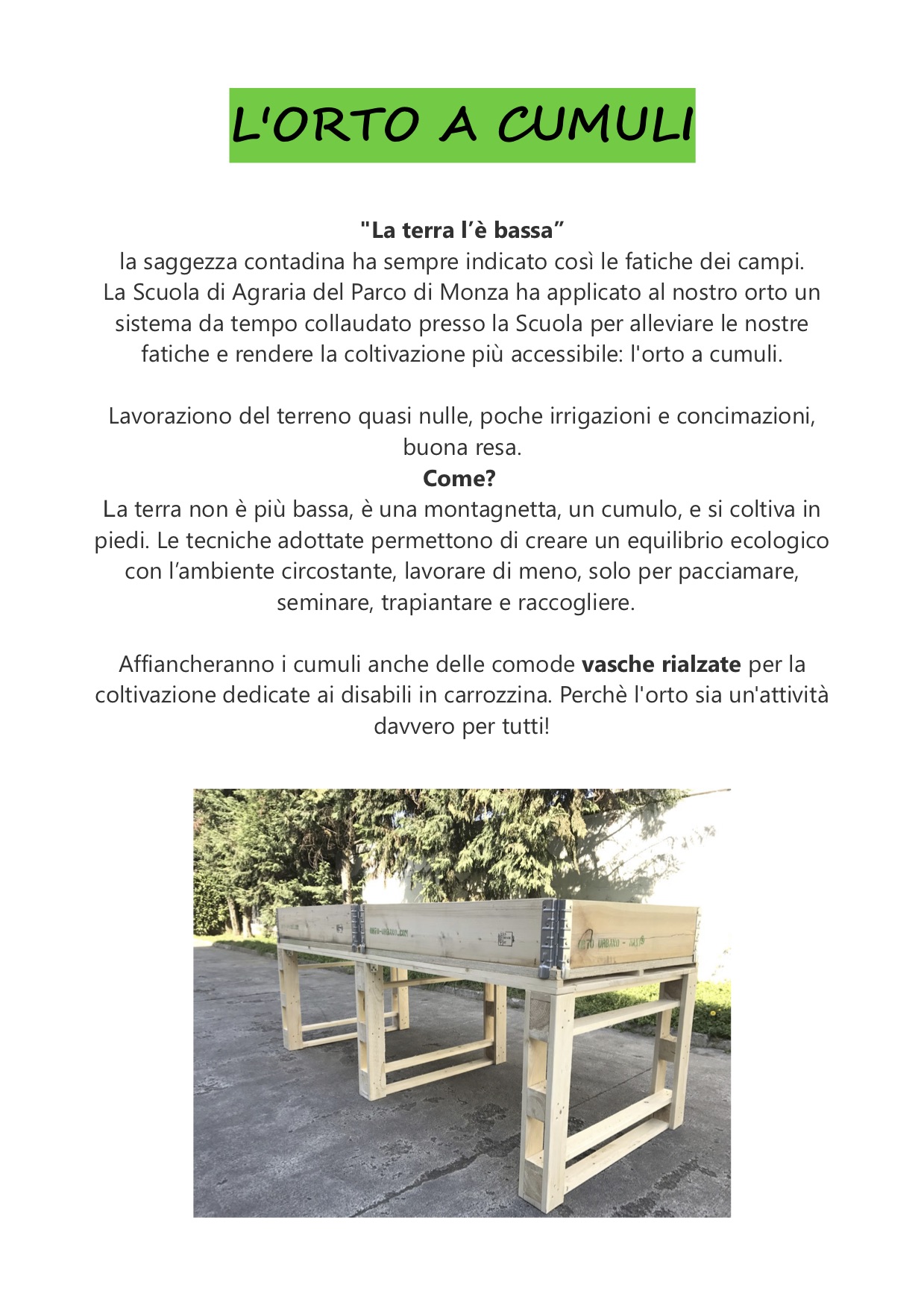 CartelliOrto
