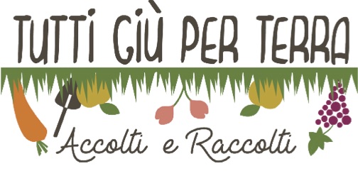 logo orto