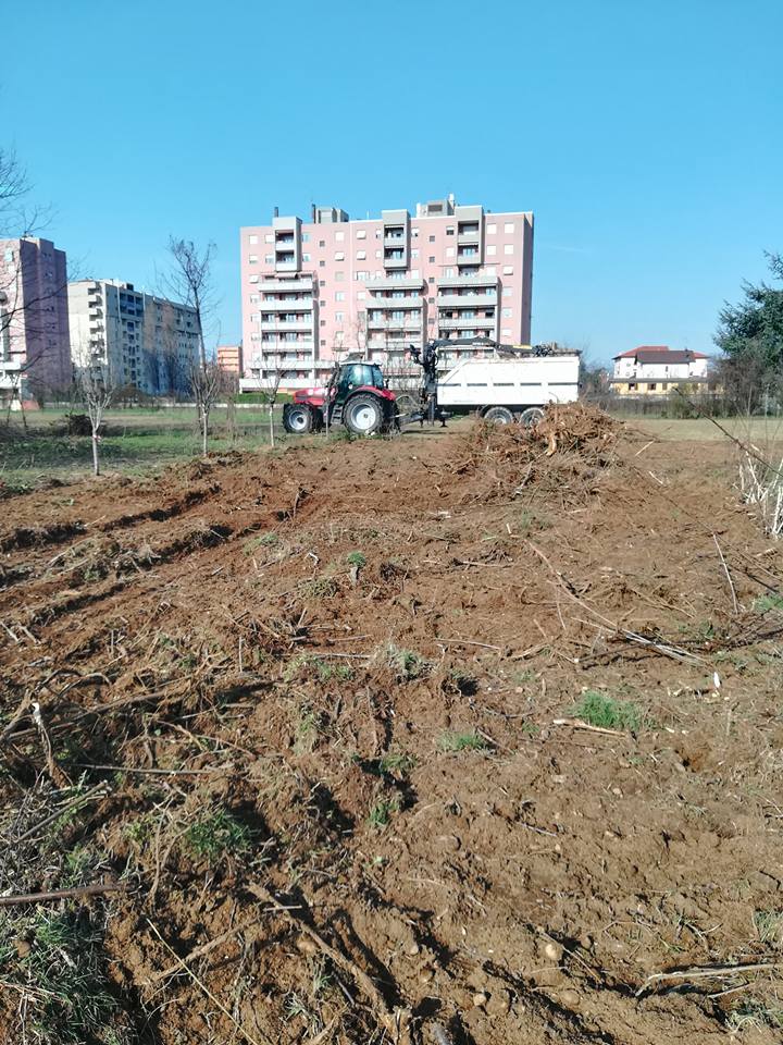 impatto progetto