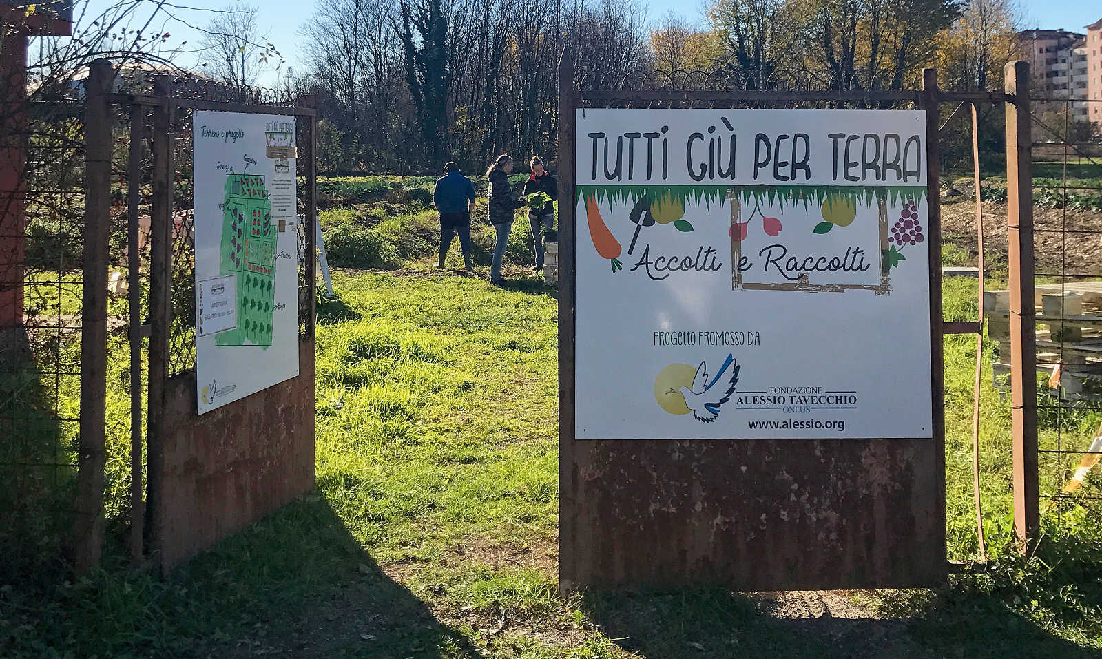 Tutti giù per terra